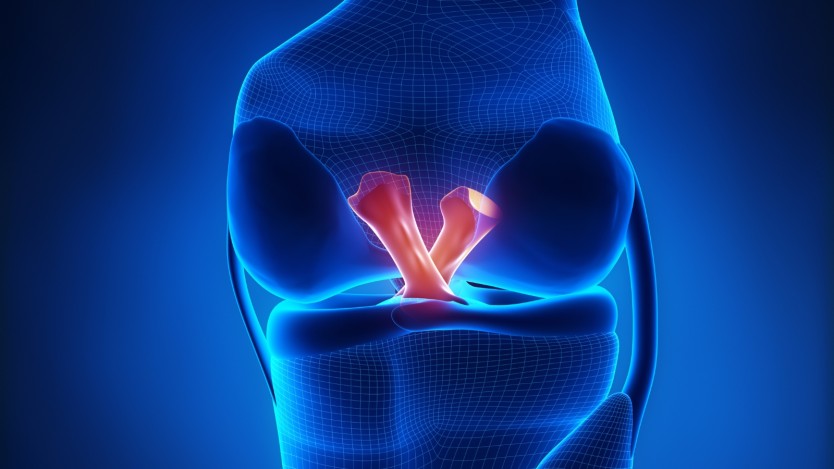 Knee Ligament Surgery